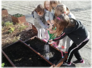 Sadzenie roślin z dziećmi
