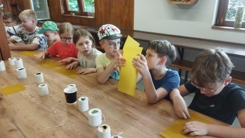 IMG 20250605 134253