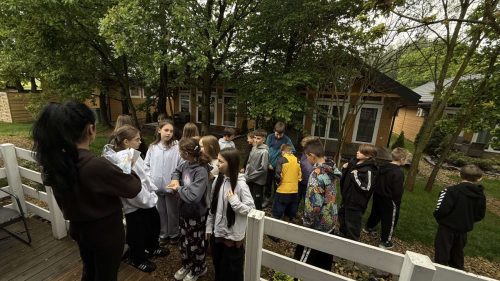 IMG 0915
